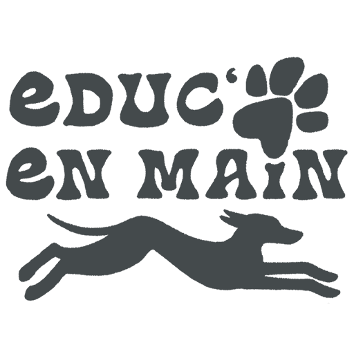 Educ en Main